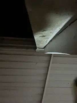 Maria_x_Alejandra webcam