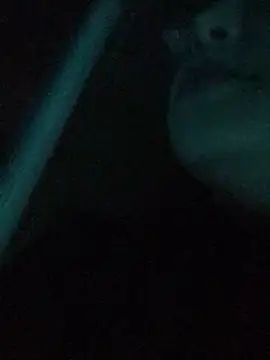 3littles (G young) - Petite ride your cock in doggy