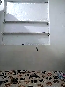 Cameron_puppy webcam