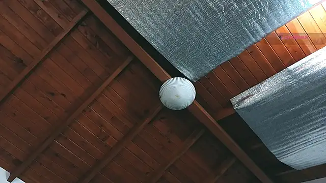 SilvaBranko's live cam