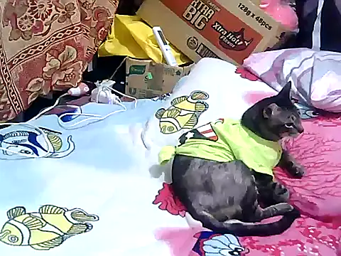 Sweetpinay_mature webcam