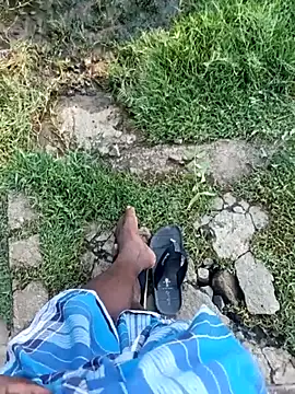 dolphiinn's live cam