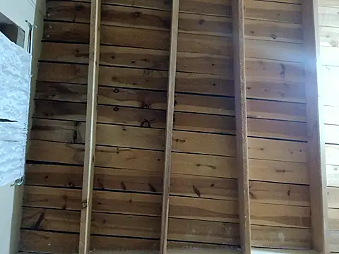 Single_lagunero webcam