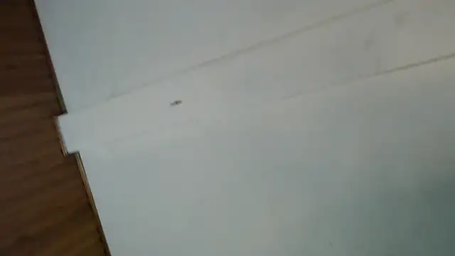 katalina_gomez6921 webcam