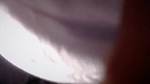 flexingplexico webcam