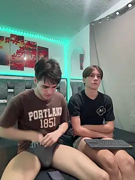 Alex_and_Fabian webcam