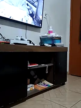 Casadocurioso50 webcam