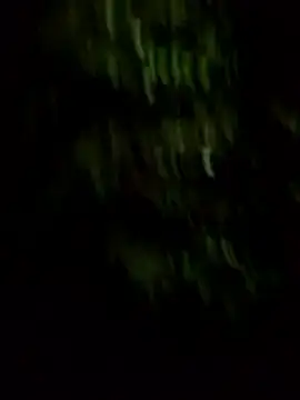 Branquinho027_ webcam