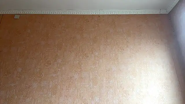 BrandyNorthcott - Cams en Vivo