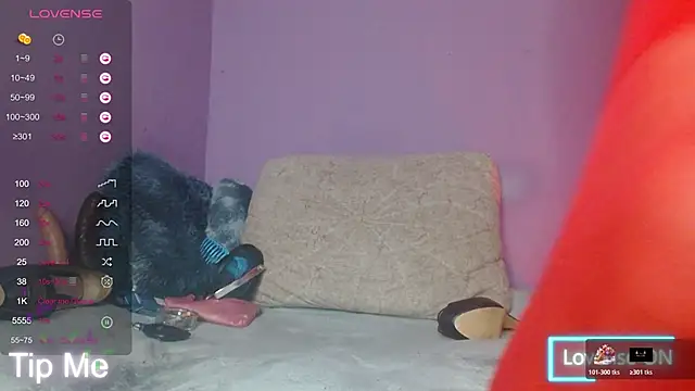 Kaninasantana webcam