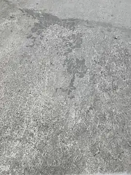 美女qwe522522在线直播