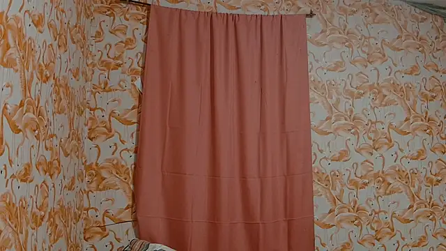 shelikessoymilk webcam