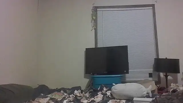 kitwithclaws420 webcam