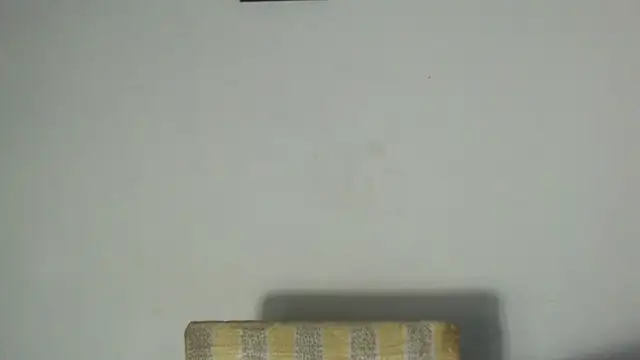 cirosky_elchicopolla webcam