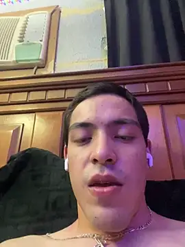 TuPapiChulo2026 webcam