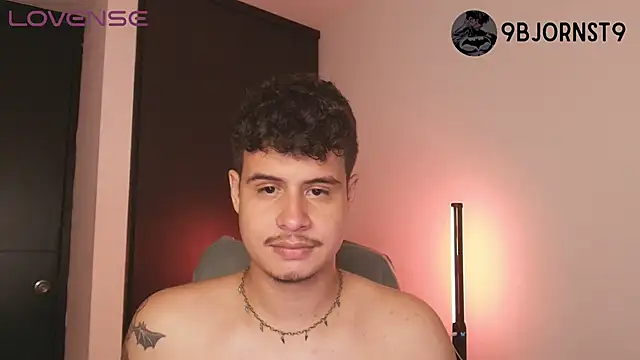 Preview of bjornsteel