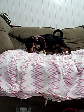 Lupita_sol live sex cam