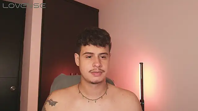 Preview of bjornsteel