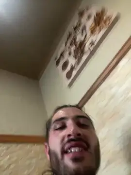 Brandy_Mr-Whiskers webcam