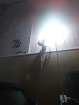 cobrosdepagos webcam