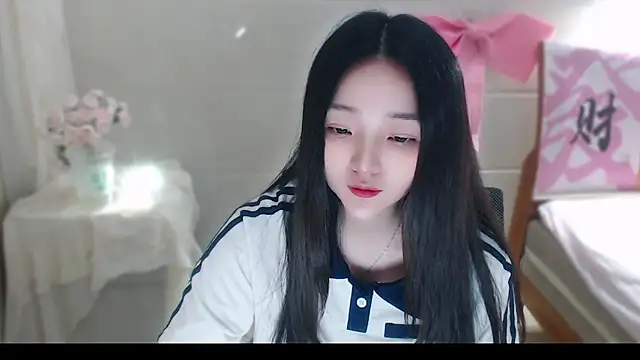 xiao-xiao-D webcam