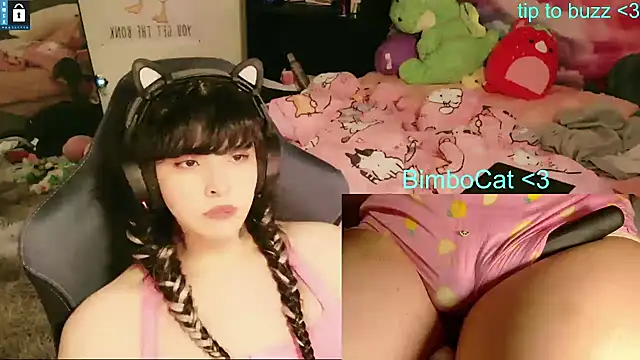 BimboCat webcam