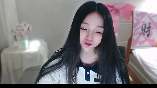 xiao-xiao-D webcam