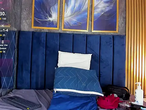 Lancelot_Benwick webcam