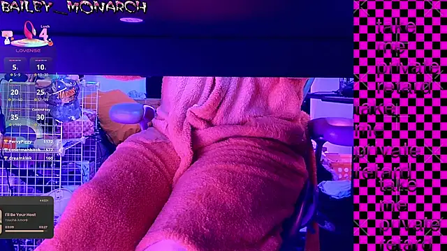 baileymonarch webcam