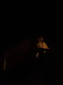 Perfectpinkpuss webcam