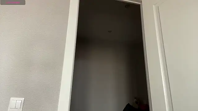 Preview of sibleyburner