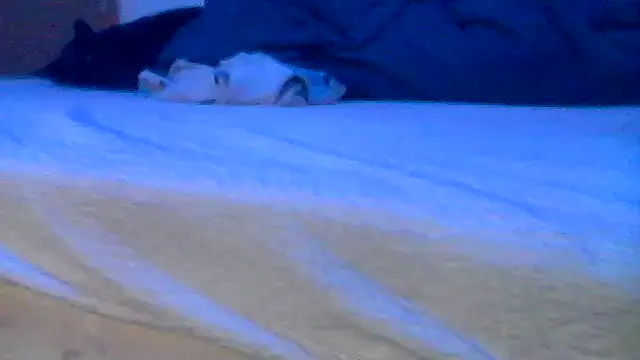 Preview of silencio26