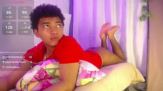 Preview of felipecams