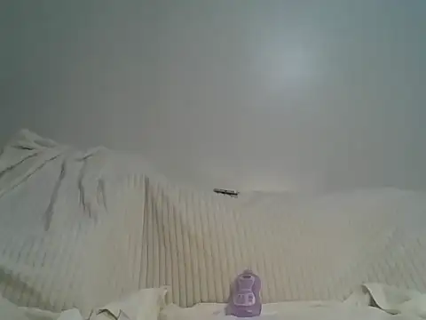 Mirrorprincess webcam