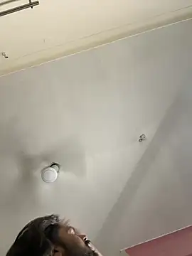 torchermachine webcam