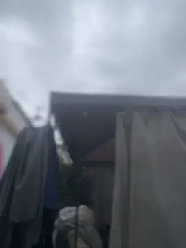 Adarha_Ramirez webcam