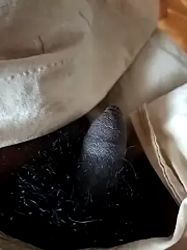 malluflash (Ask my age) - #brunettes #cam2cam #cheap-privates #daddies #dirty-talk #flashing #hairy #indian #masturbation #medium #mobile #sexting #small-audience #straight #uncut