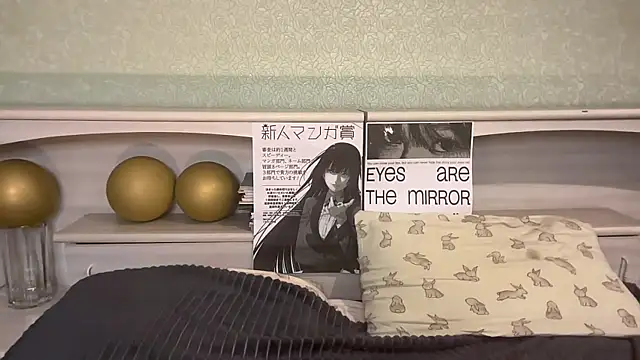 UpdatedRectus webcam