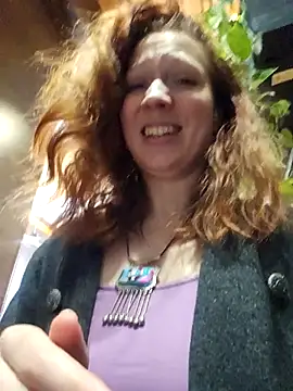 Exhibitionsplit webcam