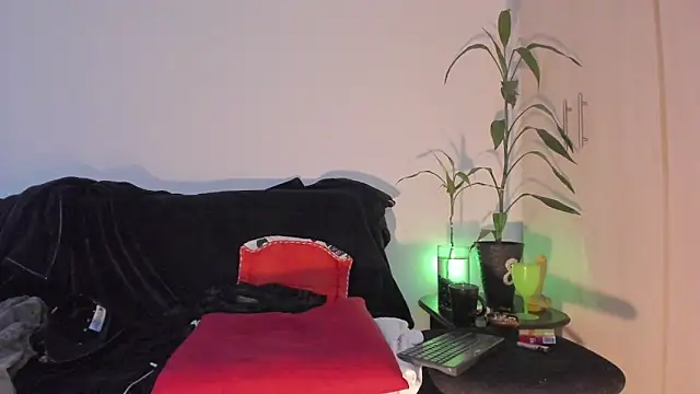 Erickpritz_xh webcam