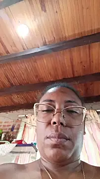 ChanneldelaCroix webcam