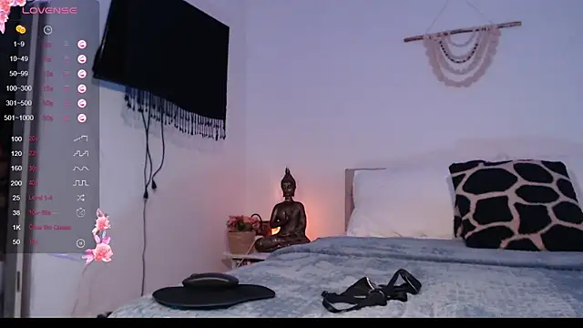 destinne_mill_ webcam