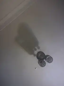 CLOUDY-Arabian_pharaon webcam