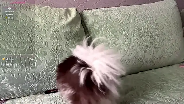 BeeutyLady53 - Live Cams