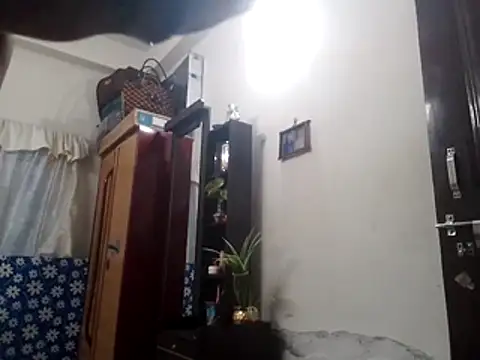 amanWildstalion webcam