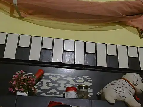 Stubborndesiboy webcam