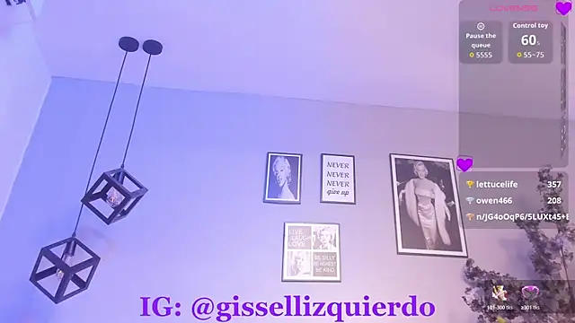 Liincostelloo webcam