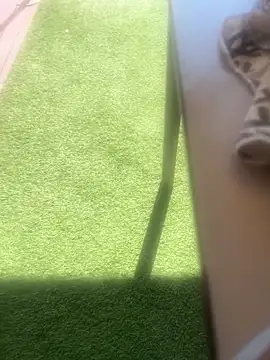 angelitasexy81 webcam