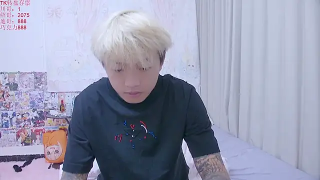 Chocolates-001 webcam