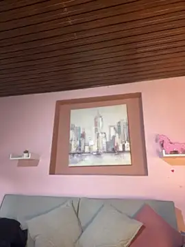 TianaRios_Pink webcam